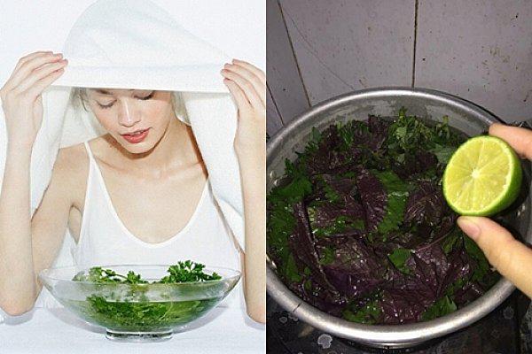 Hướng dẫn lắp đặt hệ thống âm thanh hội thảo phòng họp chuẩn