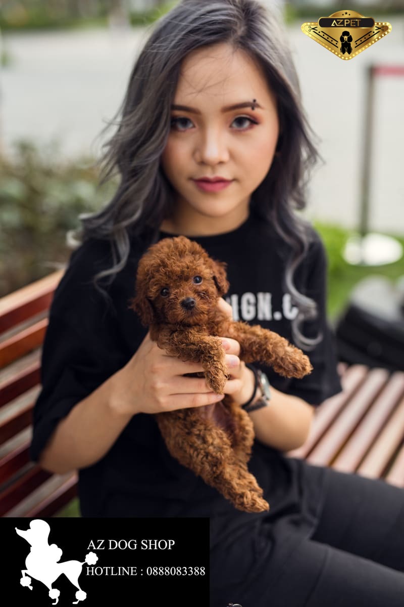 Mức lương xuất khẩu lao động Nhật Bản là bao nhiêu?